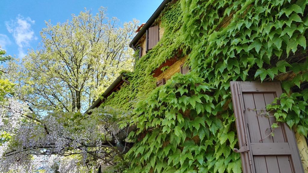 B&B Le Due Volpi Vicchio Exteriér fotografie
