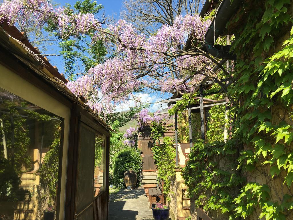 B&B Le Due Volpi Vicchio Exteriér fotografie