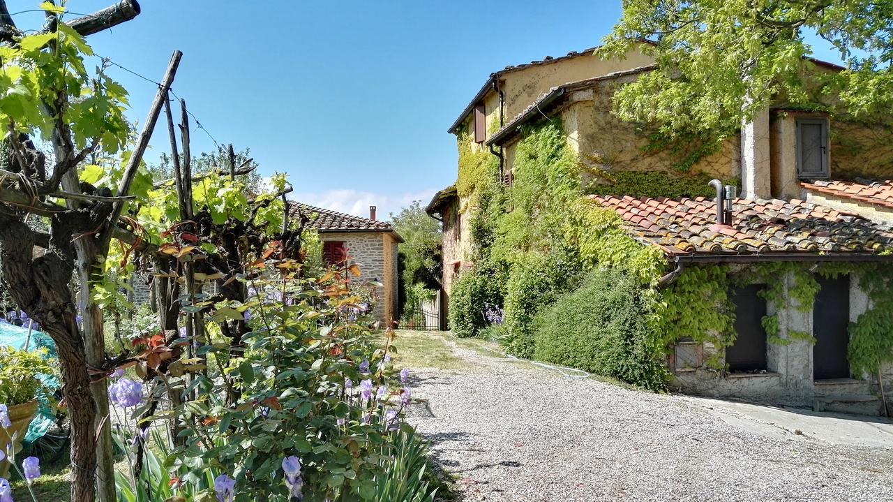 B&B Le Due Volpi Vicchio Exteriér fotografie
