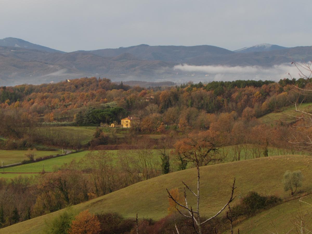 B&B Le Due Volpi Vicchio Exteriér fotografie